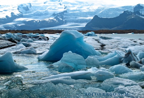 Jokulsarlon Buzul Gölü