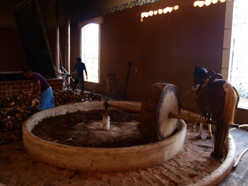 Agave İşliği