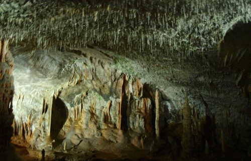 Postojna Mağarası
